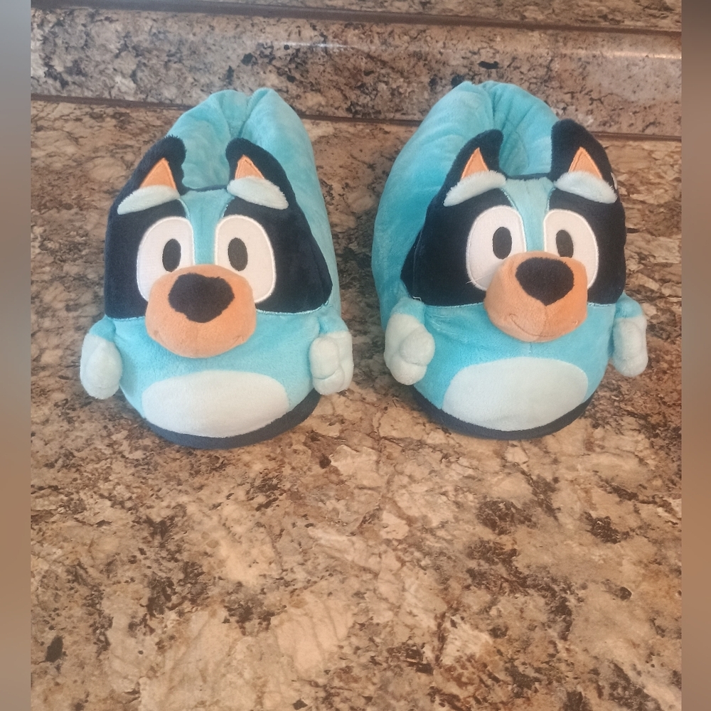 Blue Slippers 7/8 - Picture 1 of 4